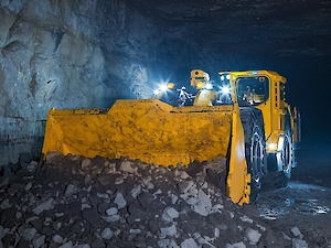 Yükleyiciler ve kamyonlar